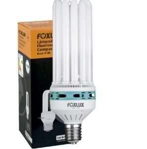 LAMP.FLUOR.COMPAC.11W X 110V FOXLUX FUB111