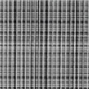 TAPETE TROPICAL  TECIDO CINZA    0,43 X 65 CM  KAPAZI