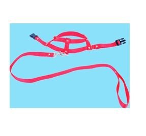 GUIA NYLON C/ PEITEIRA CL N.00  RISE  R.GNPL00
