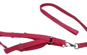 GUIA NYLON C/ PEITEIRA CL PLUS DUPLA 4 GNPCLPE4