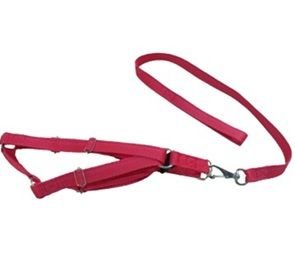 GUIA NYLON C/ PEITEIRA CL PLUS DUPLA N 5 RISE GNPCLPE5