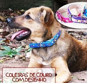COLEIRA DE COURO C/ FITA DESENHO 4 RISE R.CCD4