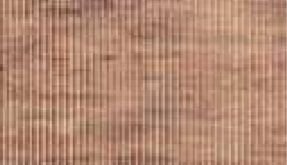 TAPETE TROPICAL  TR13   BRONZE    0,65 X 15 MT  KAPAZI