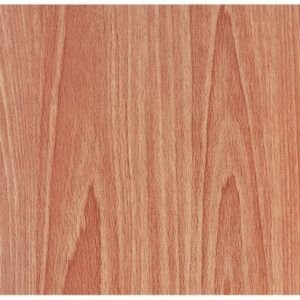 PAPEL PLAST ADESIVO 0,45X10MT    MAPPLE    LEOELEO  79061