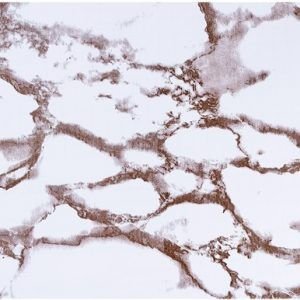 PAPEL PLAST ADESIVO 0,45X10MT  MARMORE 02  LEOELEO  79042