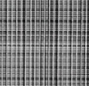 TAPETE TROPICAL  TECIDO CINZA    0,65 X 5 MTS   KAPAZI