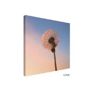 TELA CANVAS CONJUNTOS 60 X 60CM CJT05 (QUADRO) BRISA ARTES