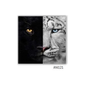 TELA CANVAS ANIMAIS 60 X 60CM ANI121 (QUADRO) BRISA ARTES