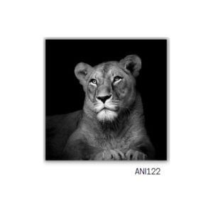TELA CANVAS ANIMAIS 60 X 60CM ANI122 (QUADRO) BRISA ARTES