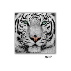TELA CANVAS ANIMAIS 60 X 60CM ANI123 (QUADRO) BRISA ARTES