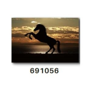 TELA CANVAS 60 X 90CM  691056 (QUADRO) BRISA ARTES