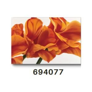 TELA CANVAS 60 X 90CM  694077  (QUADRO) BRISA ARTES