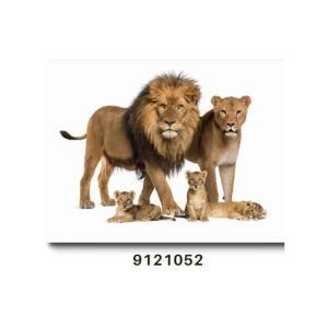 TELA CANVAS 90 X 120CM  9121052  (QUADRO) BRISA ARTES