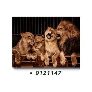 TELA CANVAS 90 X 120CM  9121147  (QUADRO) BRISA ARTES