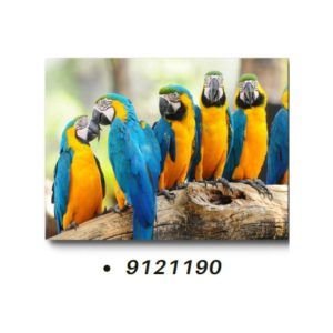 TELA CANVAS 90 X 120CM  9121190  (QUADRO) BRISA ARTES