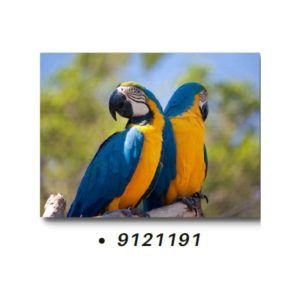 TELA CANVAS 90 X 120CM  9121191  (QUADRO) BRISA ARTES