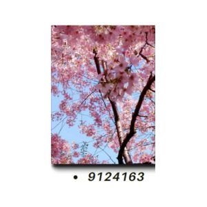 TELA CANVAS 90 X 120CM 9124163 (QUADRO) BRISA ARTES