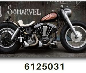 TELA CANVAS 60 X 120CM  6125031  (QUADRO) BRISA ARTES