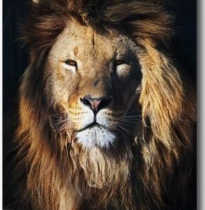 TELA CANVAS 90 X 120CM  9121211  (QUADRO) BRISA ARTES