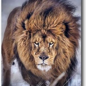 TELA CANVAS 90 X 120CM  9121198  (QUADRO) BRISA ARTES