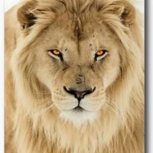 TELA CANVAS 90 X 120CM  9121204  (QUADRO) BRISA ARTES