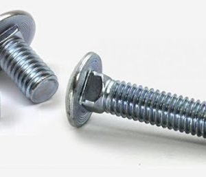 PARAF FRANCES GALV  5/16 X 2.1/2 BELENUS