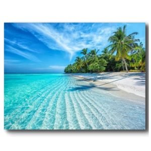 TELA CANVAS 60 X 90CM  694180 (QUADRO) BRISA ARTES