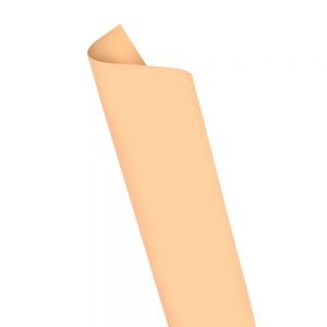 PLACA EVA COLOR PELE 40 X 48 CM C/10 FOLHAS LEONORA