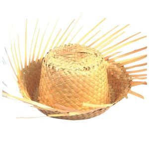 FANTASIA CHAPEU DESFIADO UNIVERSO