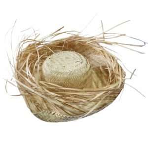 FANTASIA CHAPEU CRISTAL DESFIADO UNIVERSO