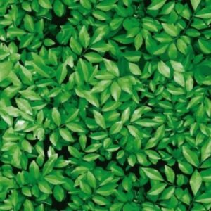 TNT ESTAMPADO FOLHAS 1,4 M X 25 M DEXA